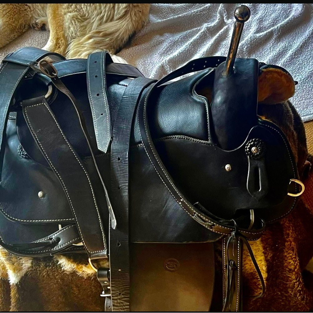 Trick Riding Saddle - Picture 10 of 10